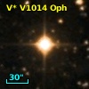 V* V1014 Oph