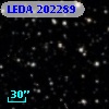 LEDA  202289