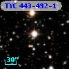 TYC  443-492-1