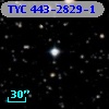 TYC  443-2829-1