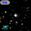 TYC 1009-2115-1