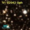 V* V2042 Oph