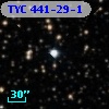 TYC  441-29-1