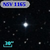 NSV  1165