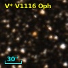 V* V1116 Oph