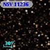 NSV 11236