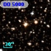 DO  5000