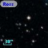 Ross  377