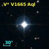 V* V1665 Aql