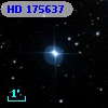 HD 175637