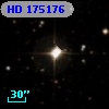 HD 175176