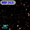 RRF  313