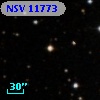 NSV 11773