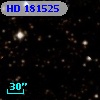HD 181525