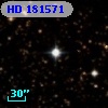 HD 181571