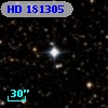 HD 181305