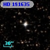 HD 181635