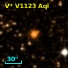 V* V1123 Aql