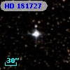 HD 181727