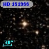 HD 181988