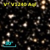 V* V1240 Aql