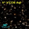 V* V1236 Aql
