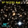 V* V1231 Aql