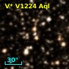 V* V1224 Aql