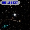 HD 181937