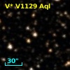 V* V1129 Aql