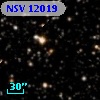 NSV 12019