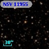 NSV 11955