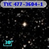TYC  477-3604-1