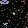 TYC 1042-2449-1