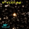V* V1337 Aql