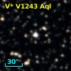 V* V1243 Aql