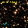 V* V1268 Aql
