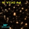 V* V1142 Aql