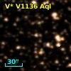 V* V1136 Aql