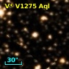 V* V1275 Aql