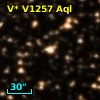 V* V1257 Aql