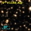 V* V1146 Aql