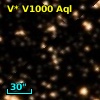 V* V1000 Aql