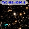 TYC  490-4246-1