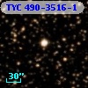 TYC  490-3516-1