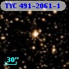 TYC  491-2061-1