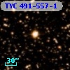 TYC  491-557-1