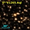 V* V1265 Aql
