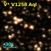 V* V1258 Aql