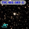 TYC  491-103-1